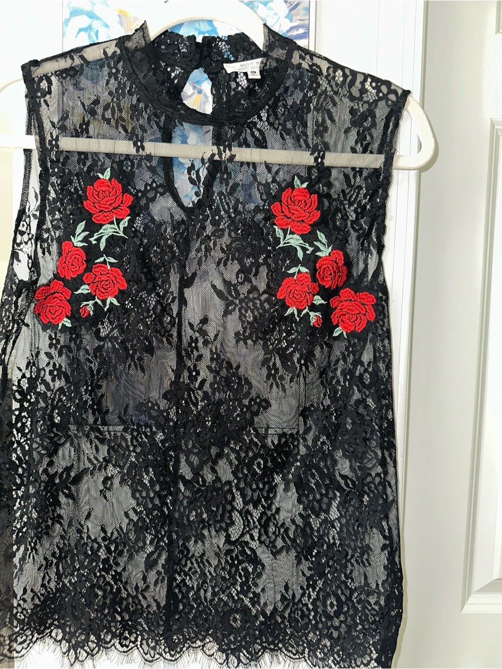 Sheer Black Lace Crop Top with Red Rose Embroidery